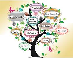 Pin On Pyp Resources