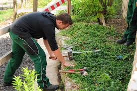 Der schülerwettbewerb der landschaftsgärtner geht in eine neue runde. Gartner In Garten Und Landschaftsbau Landeshauptstadt Mainz