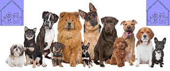 Things to do near safe haven wildlife sanctuary. Home Safe Haven Animal Rescue