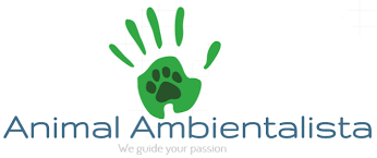 El sistema de educación a distancia de la ujat, tiene como objetivo promover la educación en línea permitiendo a aspirantes la capacidad de iniciar o culminar sus estudios en alguna de sus licenciaturas en línea, estudiar derecho en línea dentro de la ujat te garantiza una educación de calidad, solo tendrás que tener en mente, que el proceso de admisión es presencial. Titulacion 2013 Dacsyh Ujat Home Facebook