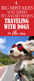 4 Big Mistakes You Need To Avoid When Traveling With Dogs In The Car Dog Travel Road Trip With Dog Pet Travel