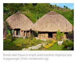 Sesuai kegunaan dan fungsinya, bangunan adat papua yang. Facebook