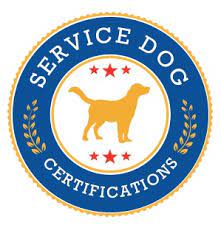 How do you certify or register a service dog? Service Dog Certification Empowering You And Your Service Animal