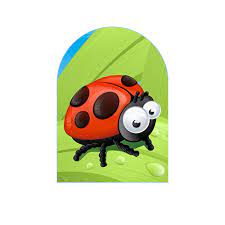 Certified industry specialist will consult with you on the phone to gather information. Bugs And Beyond Pest Wildlife Control Home Facebook