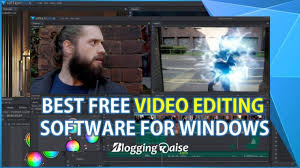 Options include adjusting color hue, saturation, contrast, and brightness. Best Free Video Editing Software For Windows No Watermark 2020 Bloggingkaise Com