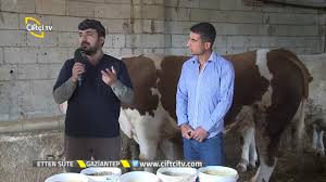 Etten Sute Buyukbas Hayvan Irklari Ve Yemleri Youtube