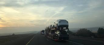 We do the weeding for you and your car Car Shipping From Florida To Massachusetts Corsia Logistics