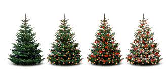 1000+ Christmas Tree Pictures | Download Free Images on Unsplash