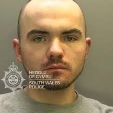 Dinosaurs with beaks sieved for their food