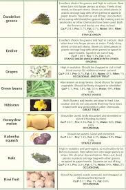 Bearded Dragon Food Chart 1000 Images About Bearded Dragons On Pinterest Food Lists Bearded Dragon Food Bearded Dragon Food List Bearded Dragon Care