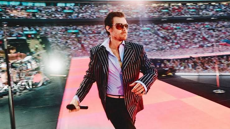 Harry Styles fan holds up sign asking for dating advice and his reaction is priceless - The Mirror