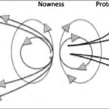 Within the website's fictional setting, the scp foundation is responsible for locating and containing individuals, entities, locations, and objects that violate natural law (referred to as scps). Pdf Neurofilmology An Introduction