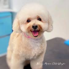 Quick-Tag in Haleyville, AL