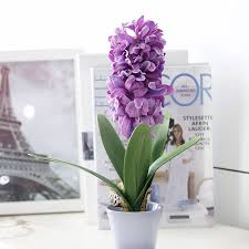 I fiori bianchi di peri e meli, quelli rosa dei peschi, quelli più accesi delle piante di pesche nettarine aprono il paesaggio. I 6 Fiori Primaverili Piu Belli Per Colorare La Casa