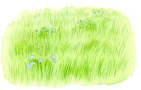 As you start the pencil stroke, the pressure is firm and as you move up, the pressure is lifted so when you lift the pencil from the paper the line is tapered. How To Paint Grass In Watercolor Bluprint Tutorial Craftsy