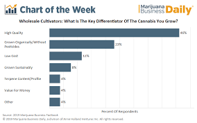 chart most wholesale cultivators competing on marijuana quality