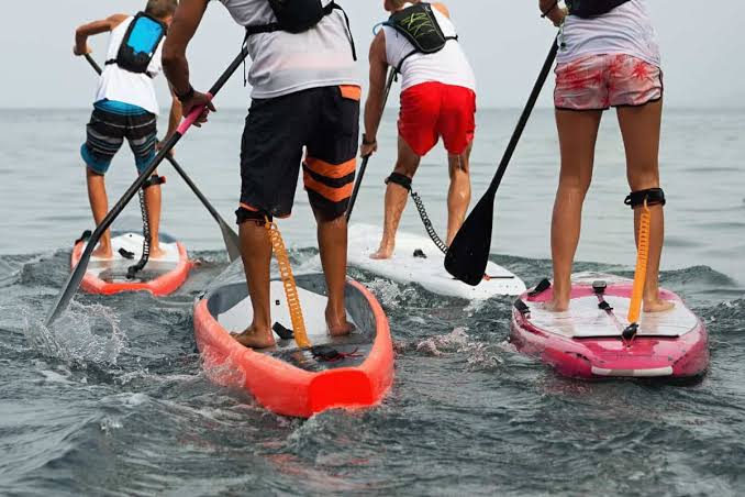 Stand Up Paddle Board4
