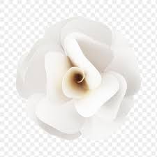 White Rose Paper Craft Transparent Png Free Image By Rawpixel Com Nam Floral Banners White Anemone Flower White Roses