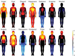 Mapping Emotions On The Body Love Makes Us Warm All Over