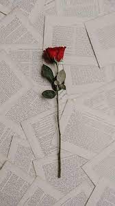 Wallpaper Bunga Beautiful Wallpapers For Iphone Beautiful Wallpapers Iphone Wallpaper Vintage