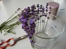 Interessante Dekoration Mit Lavendeln Machen Glas Benutzen In 2020 Lavendel Dekoration Hochzeitsdeko
