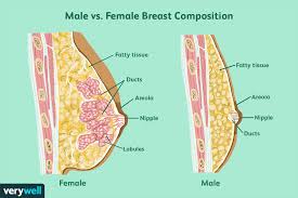 Early warning signs of breast cancer. Breast Cancer In Males Symptoms Causes Diagnosis Treatment