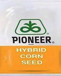 The vertical bars represent what people in your area recently paid for similar vehicles. Maize Seeds Agrostar