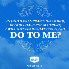 Nkjv Verse Of The Day Psalm 56 4 God Faith Family Bemore Edwhite Iamlimu Com Bible Quotes Kjv Psalms Scripture Verses