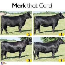 Pin On Ag In The Classroom