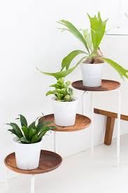 Modern Acacia Wood Plant Stand Diy Ikea Hacks Ikea Diy Und Diy Blumenstander