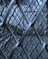 Im straight forward, but down to earth & open minded. Inside The Walls Humanist Pen Pal Program Helps Isolated Inmates Thehumanist Com
