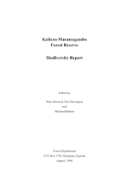 Image result for Mimulopsis runssorica