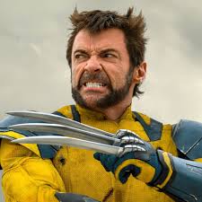 With gratitude for everything 2025 brought, we look forward to a brand new  year of celebrating this guy! #hughjackman #lifeofafanpage