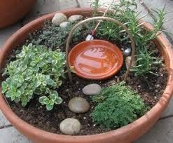 Mini Herb Fairy Gardens Miniature Fairy Gardens Fairy Garden Containers Fairy Herb Garden