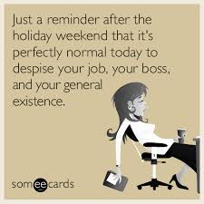 Just A Reminder After The Holiday Weekend That It S Perfectly Normal Today To Despise Your Job Your Boss And Your Gene Weekend Humor Work Humor Holiday Humor
