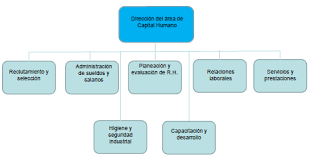 La función cerebral y cómo el cerebro humano utiliza sus funciones cerebrales en las diferentes tareas de su vida diaria es importante para comprender el cerebro humano. Http Ri Uaemex Mx Bitstream Handle 20 500 11799 108683 Secme 24520 1 Pdf Sequence 1 Isallowed Y
