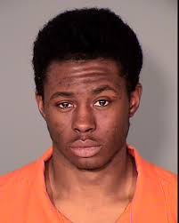 Ramsey County Sheriff's Office Warrant Details