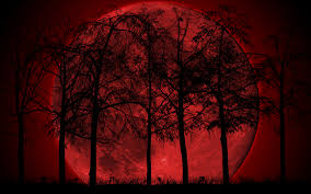 We did not find results for: Dark Forest Wallpaper High Quality Resolution Is Cool Dark Cool Quotes 2560x1600 Wallpaper Teahub Io