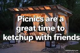 45 Best Captions For Backyard Picnics Pictures Photos Captions Click