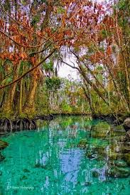 The 10 Most Beautiful Towns In Florida Florida Travel Places In Florida Visit Florida