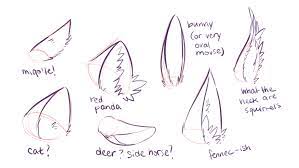Draw ears of furry that are attached with the hair. Anime Animal Ears Drawing Novocom Top