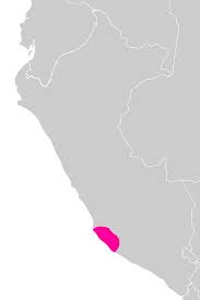 Small size, easy to carry along and great for all kinds of cats. Nazca Culture Wikipedia