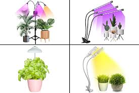 The most common ones are: 15 Best Grow Lights For Indoor Plants