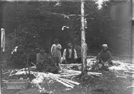 de l'Î.-P.-É. les femmes