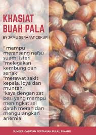 8 khasiat buah pala, bisa obati insomnia hingga keluarkan racun tubuh. Facebook