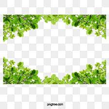 Ancient wreath, text dividers and borders with laurel leaves trees with leaves. Leaves Border Png Images Vector And Psd Files Free Download On Pngtree