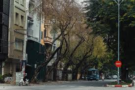 Khu phố cách ly với khu phố; Poat1 Yrmopujm