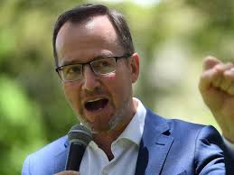 NSW Greens MP wins Senate preselection