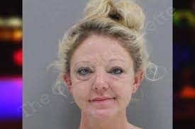 Shannon Garrett — Rabun County Jail Bookings