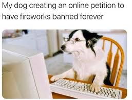 Doggo Dreams Bring Forth The Doggo Memes 34 Memes Funny Animals Funny Animal Pictures Cat And Dog Memes